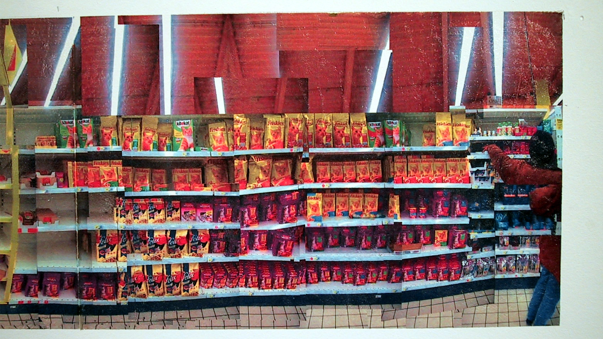 002 Our Animal friends